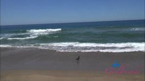 Jasmine Wilde Malibu 1