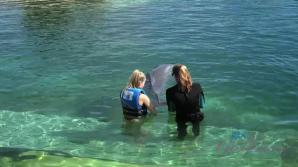 Paris gets to meet some dolphins!